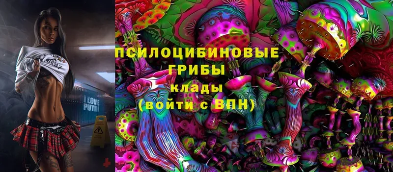 Псилоцибиновые грибы GOLDEN TEACHER Киреевск